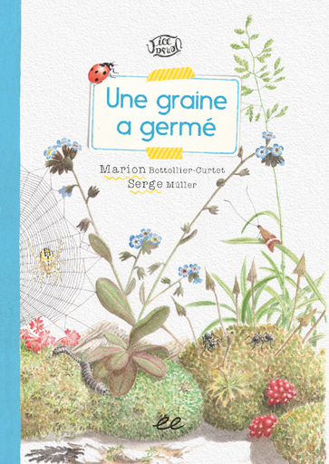 Une Graine a germé