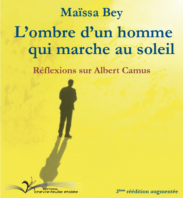 L'ombre d'un homme qui marche au soleil